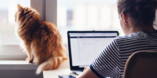 Une femme travaille sur son ordinateur portable, son chat est assis sur le rebord de la fenêtre